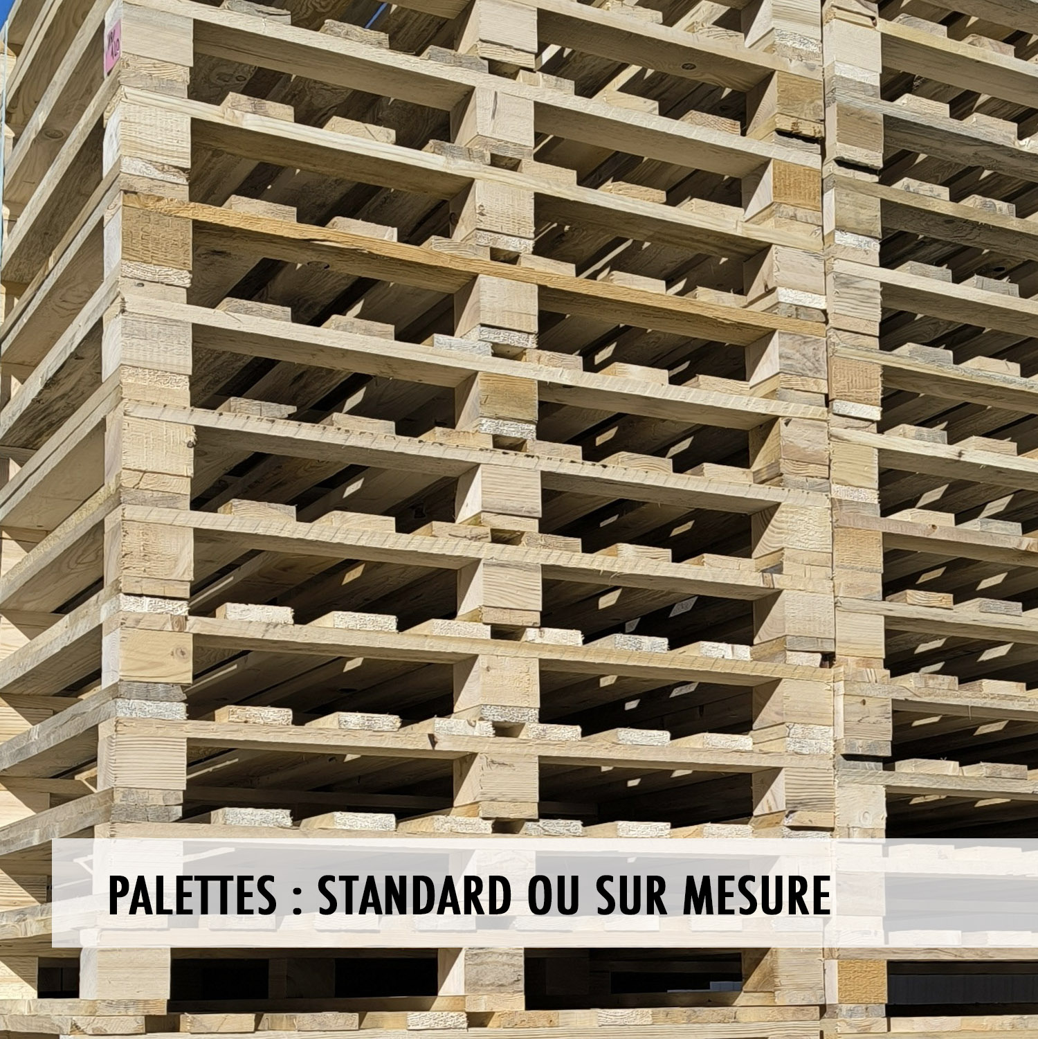 palettes EID